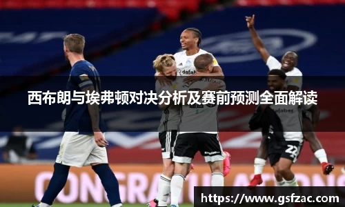 西布朗与埃弗顿对决分析及赛前预测全面解读